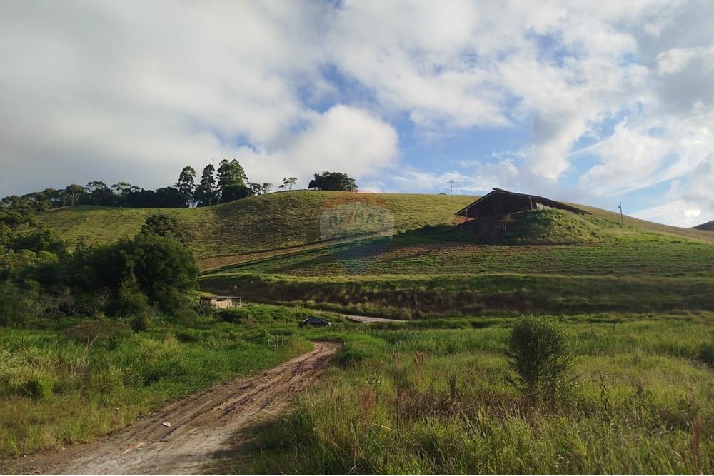Fazenda - Venda - Barbacena , Minas Gerais - IMG_20250421_161515.jpg - 860391012-32