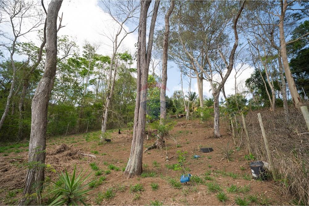 Terreno - Venda - Juiz de Fora , Minas Gerais - michaelseed photo_1103-16.jpg - 860211074-39