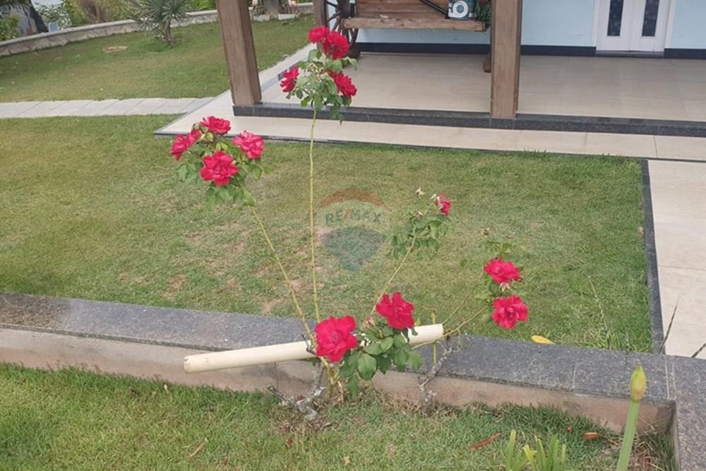 Chácara / Sítio / Fazenda - Venda - Barbacena , Minas Gerais - WhatsApp Image 2025-11-17 at 14.43.28 (1).jpeg - 860391028-24