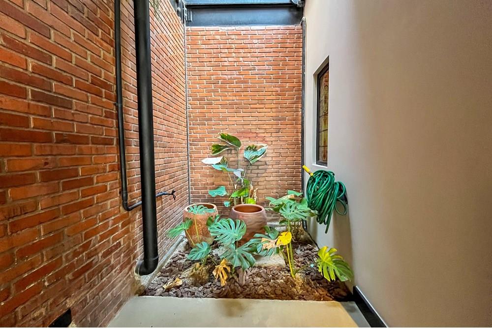 Loja - Alugar - Juiz de Fora , Minas Gerais - IMG_7300.jpeg - Jardim Interno - 860501002-154