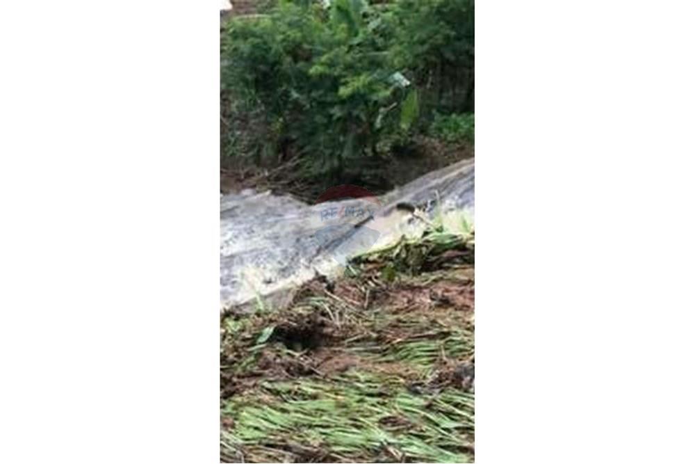 Chácara / Sítio / Fazenda - Venda - Matias Barbosa , Minas Gerais - L_c95a70803ef941ff9f8ca88f2afadd94.jpg - 860291033-113