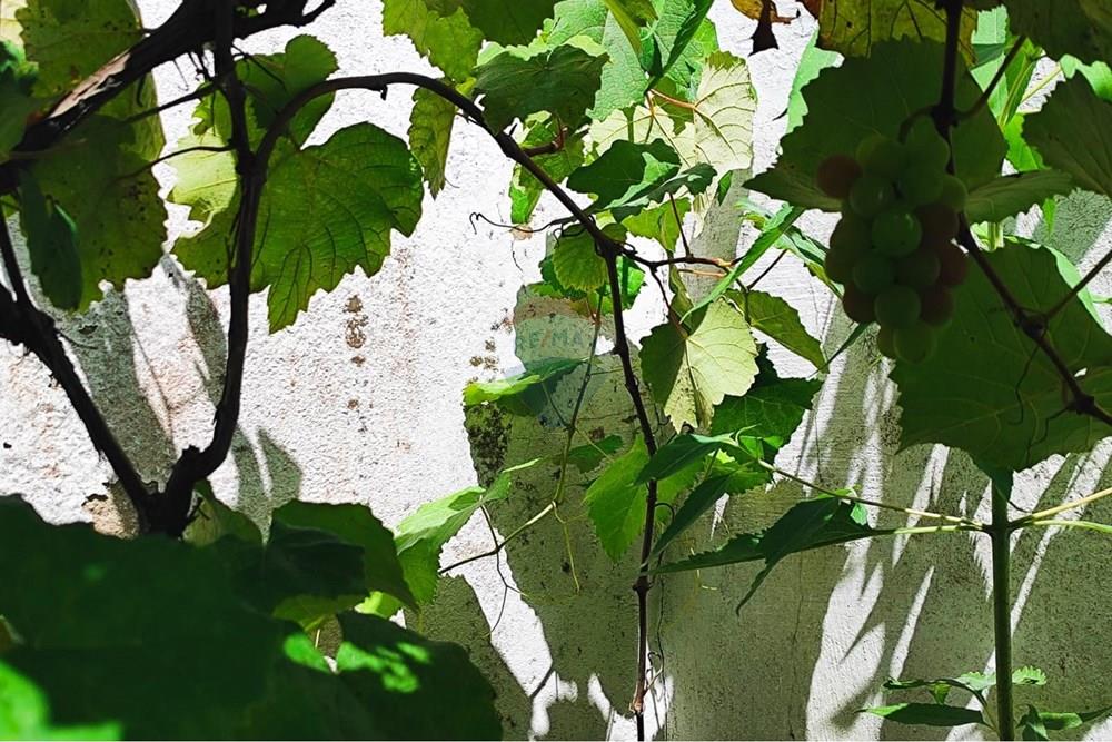 Casa - Venda - Juiz de Fora , Minas Gerais - WhatsApp Image 2026-01-13 at 10.11.09.jpeg - 860291015-37