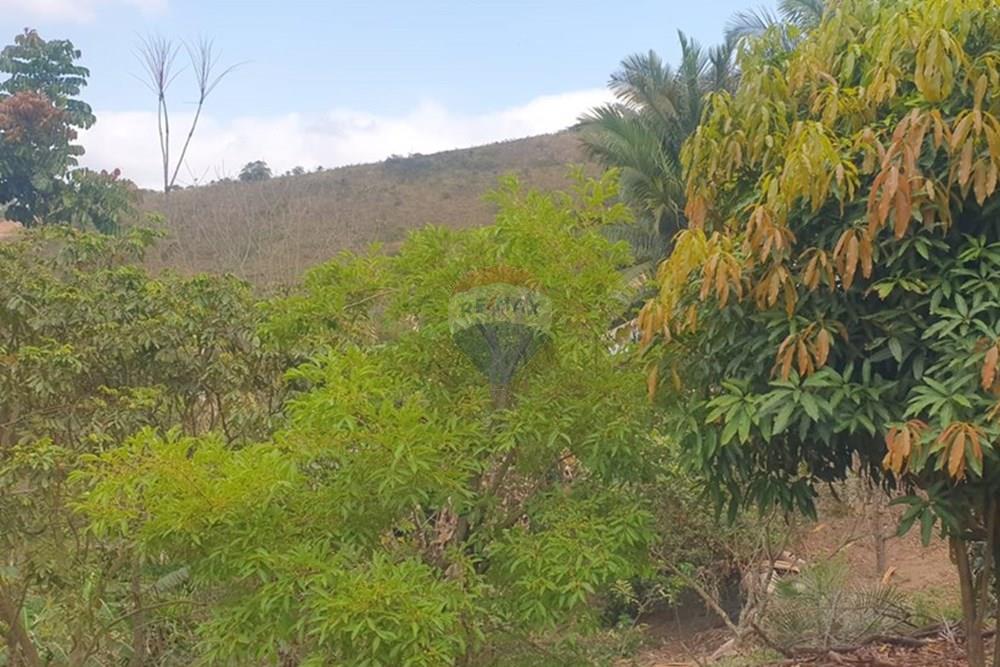 Chácara / Sítio / Fazenda - Venda - Barbacena , Minas Gerais - WhatsApp Image 2025-11-17 at 14.43.29 (5).jpeg - 860391028-24