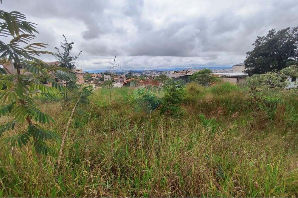 Terreno - Venda - Conselheiro Lafaiete , Minas Gerais - WhatsApp Image 2025-03-24 at 14.15.13.jpeg - 860421029-128