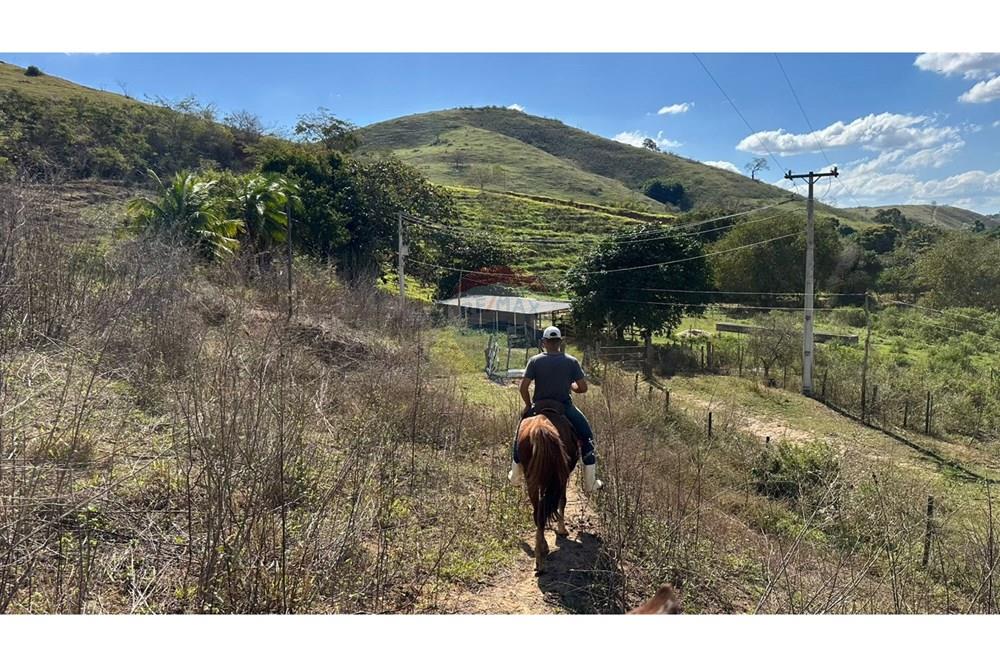 Chácara / Sítio / Fazenda - Venda - Cantagalo , Rio de Janeiro - 397632ac-fec1-4014-afd7-01713a0c89af.JPG - 860291041-3