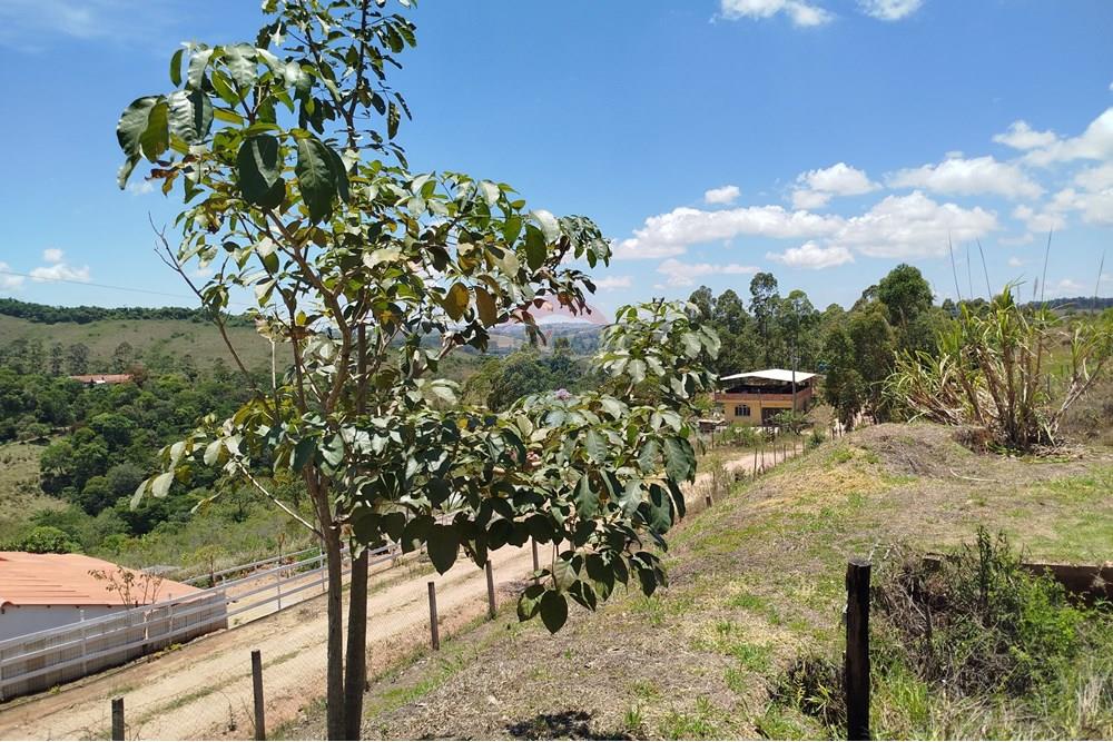 Terreno - Venda - Barbacena , Minas Gerais - IMG_20251112_113221.jpg - 860391012-36