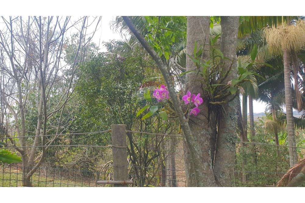 Chácara / Sítio / Fazenda - Venda - Barbacena , Minas Gerais - WhatsApp Image 2025-11-17 at 14.43.28 (25).jpeg - 860391028-24