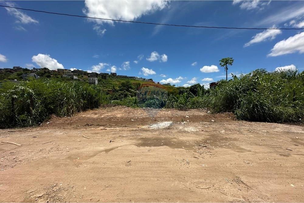 Terreno - Venda - Muriaé , Minas Gerais - WhatsApp Image 2026-01-09 at 12.40.43 (4).jpeg - 860371007-114