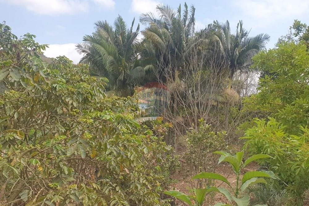 Chácara / Sítio / Fazenda - Venda - Barbacena , Minas Gerais - WhatsApp Image 2025-11-17 at 14.43.29 (3).jpeg - 860391028-24