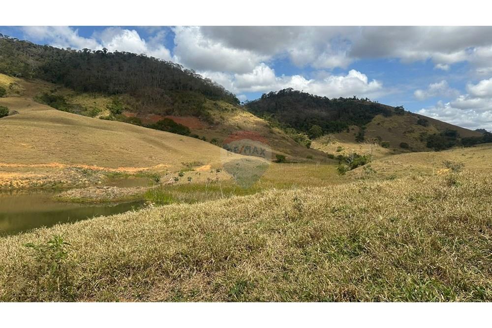 Chácara / Sítio / Fazenda - Venda - Leopoldina , Minas Gerais - WhatsApp Image 2025-09-22 at 10.32.45 (2).jpeg - 860291033-118