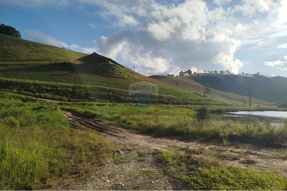 Fazenda - Venda - Barbacena , Minas Gerais - IMG_20250421_161319.jpg - 860391012-32