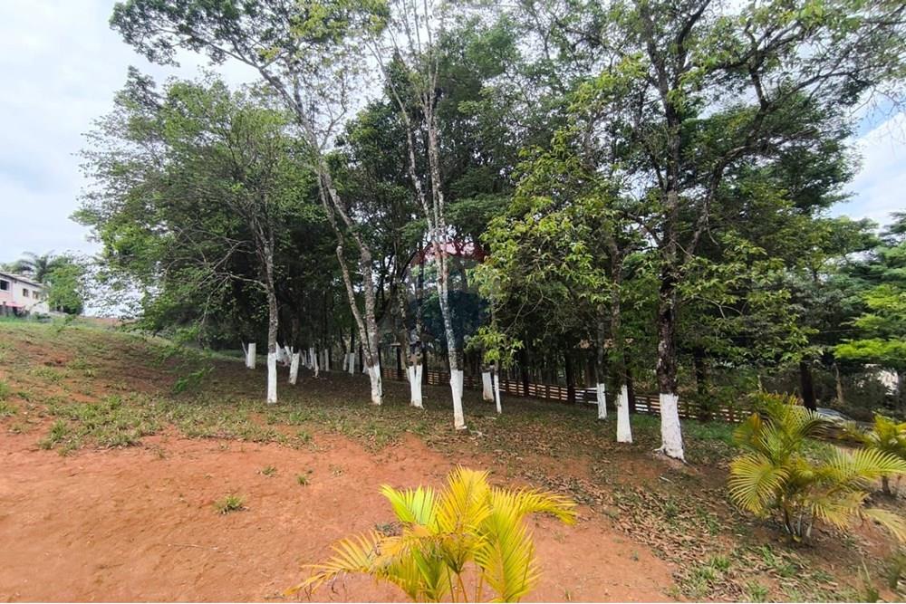 Terreno - Venda - Conselheiro Lafaiete , Minas Gerais - Chacara Bandeirinhas10.jpg - 860421004-1318