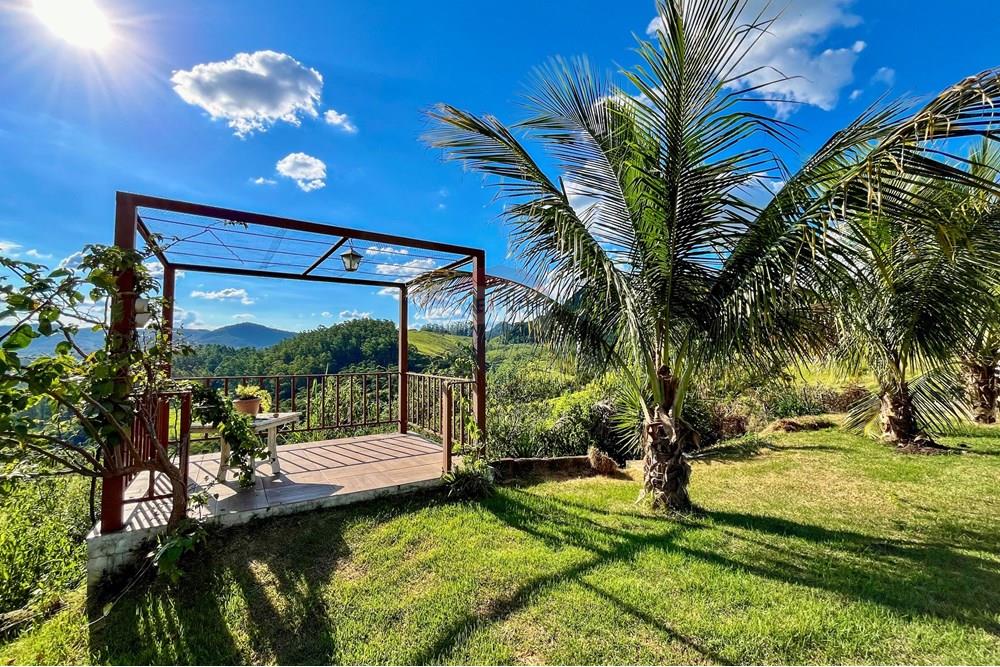 Chácara / Sítio / Fazenda - Alugar - Matias Barbosa , Minas Gerais - IMG_2076.jpeg - Quintal - 860501020-41