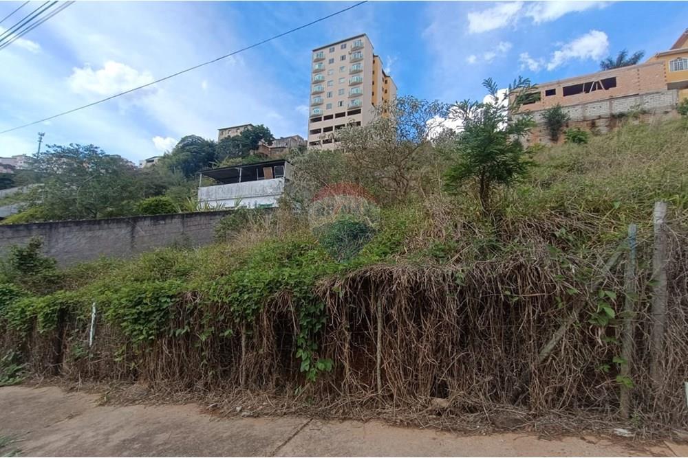 Terreno - Venda - Conselheiro Lafaiete , Minas Gerais - 525e5bb4-7f7a-4e9f-97ce-89f6b3a7d03d.jpeg - 860421022-164