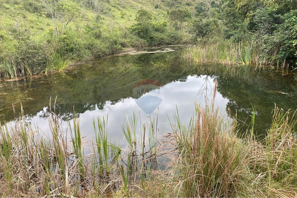 Chácara / Sítio / Fazenda - Venda - Santos Dumont , Minas Gerais - 9CE4DA7F-DBE2-440E-825D-A81B423037A6.jpeg - 860291033-131