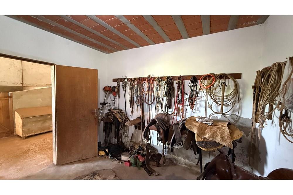 Chácara / Sítio / Fazenda - Venda - Lima Duarte , Minas Gerais - IMG_0846.jpg - 860291041-36