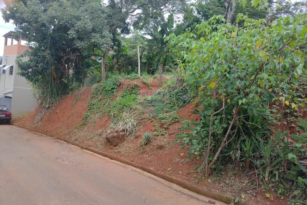 Terreno - Venda - Carangola , Minas Gerais - 1000099422.jpg - 860501015-91