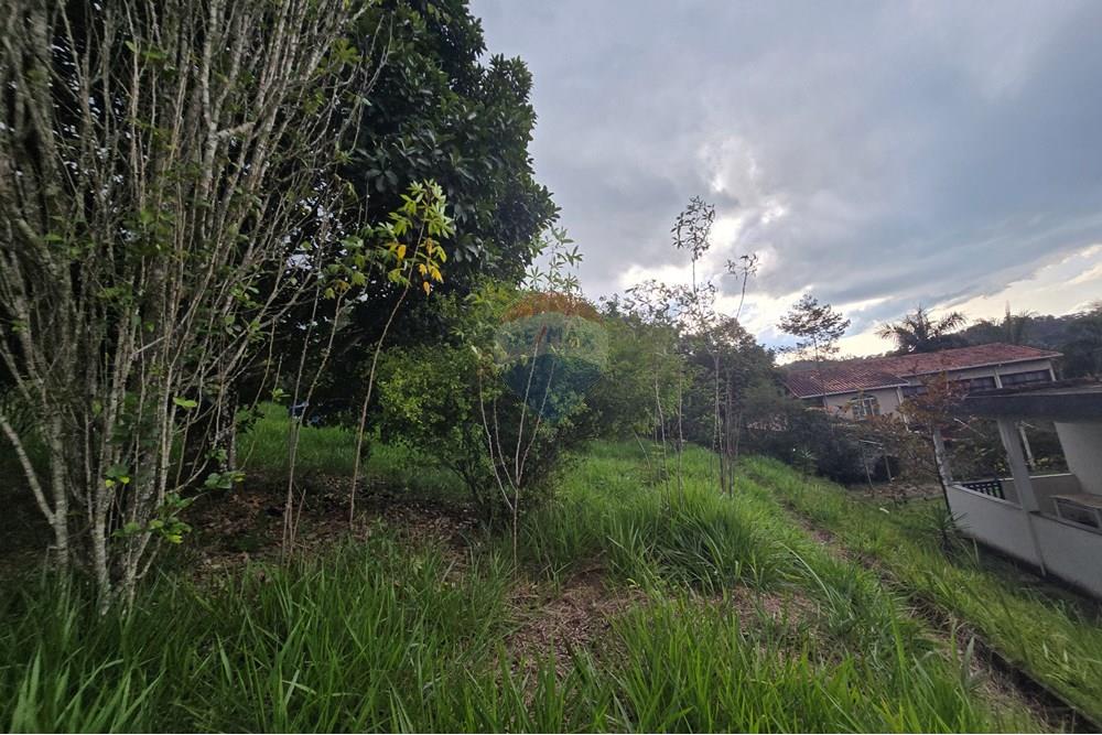 Chácara / Sítio / Fazenda - Venda - Juiz de Fora , Minas Gerais - 36.jpg - 860381070-74