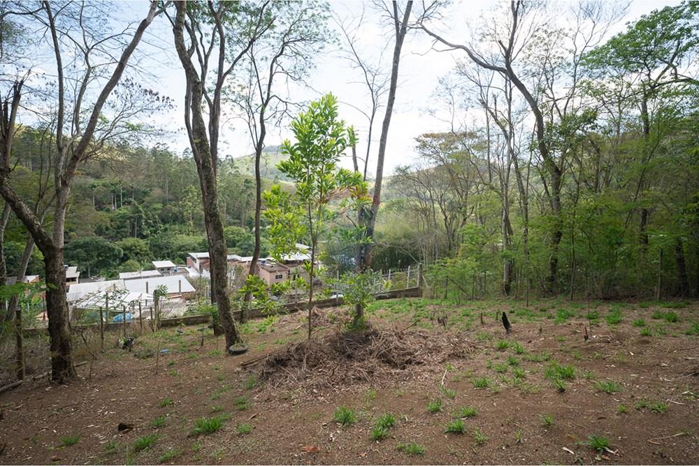 Terreno - Venda - Juiz de Fora , Minas Gerais - michaelseed photo_1103-18.jpg - 860211074-39