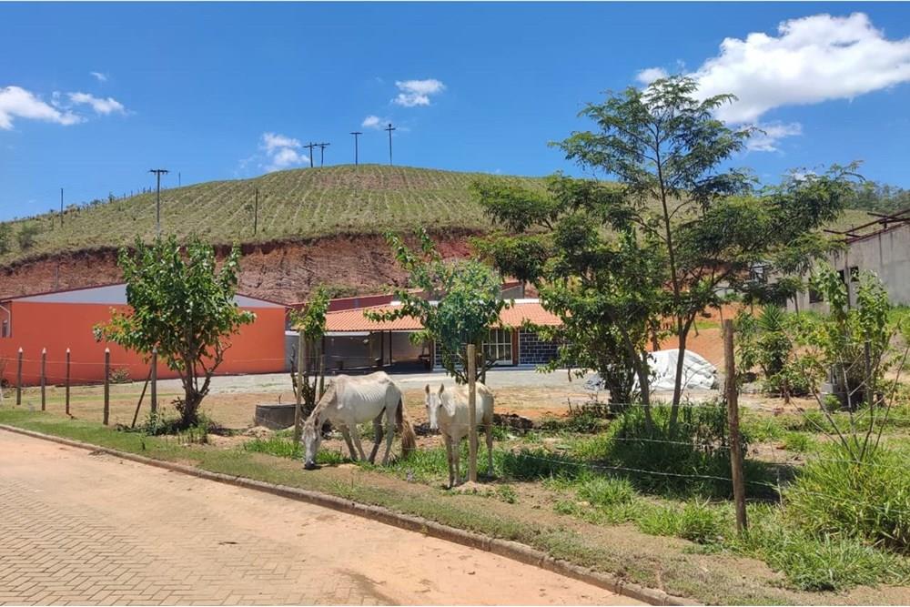 Terreno - Venda - Juiz de Fora , Minas Gerais - WhatsApp Image 2025-11-14 at 13.36.46.jpeg - 860321052-3