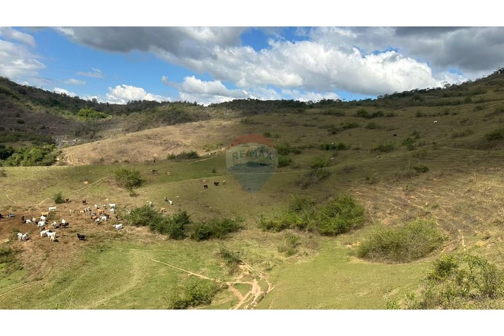 Chácara / Sítio / Fazenda - Venda - Cantagalo , Rio de Janeiro - dd81dce2-b6da-43d4-ac2c-90e4909d90d2.JPG - 860291041-3