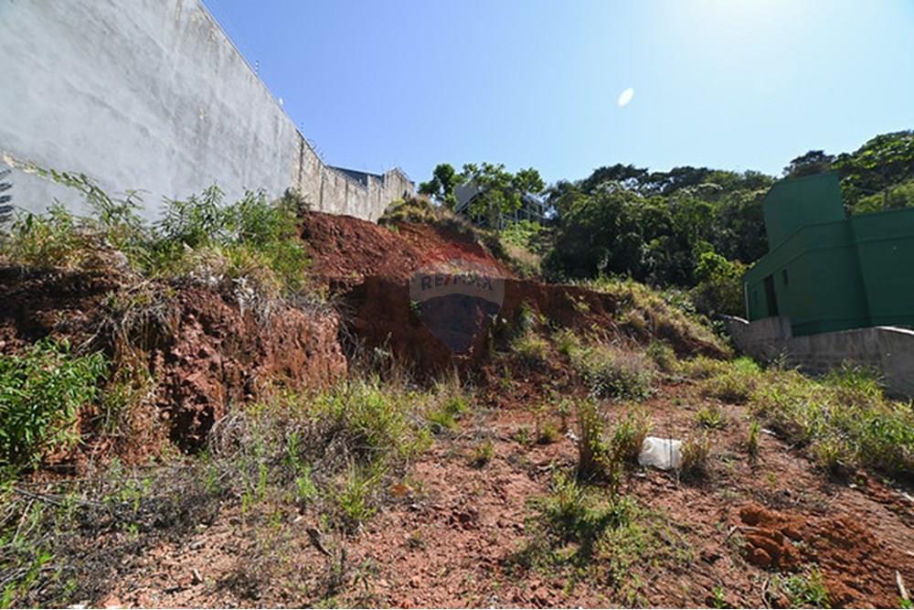 Terreno - Venda - Juiz de Fora , Minas Gerais - michaelseed.photo_09 10 11-44-M.jpg - 860211097-53
