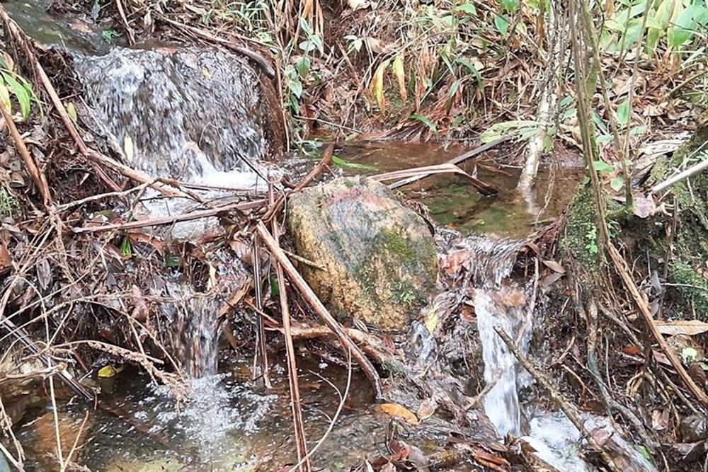 Chácara / Sítio / Fazenda - Venda - Rio Preto , Minas Gerais - WhatsApp Image 2026-01-10 at 15.07.48 (1).jpeg - 860281098-65