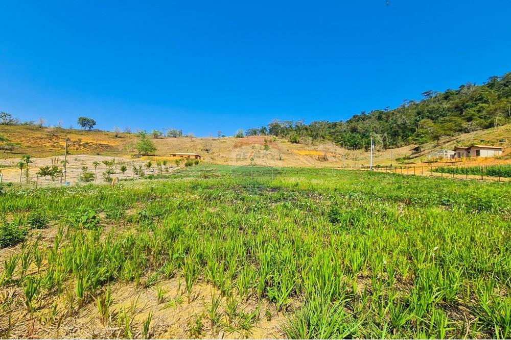 Chácara / Sítio / Fazenda - Venda - Patrocínio do Muriaé , Minas Gerais - 1000323690.jpg - 860371002-115