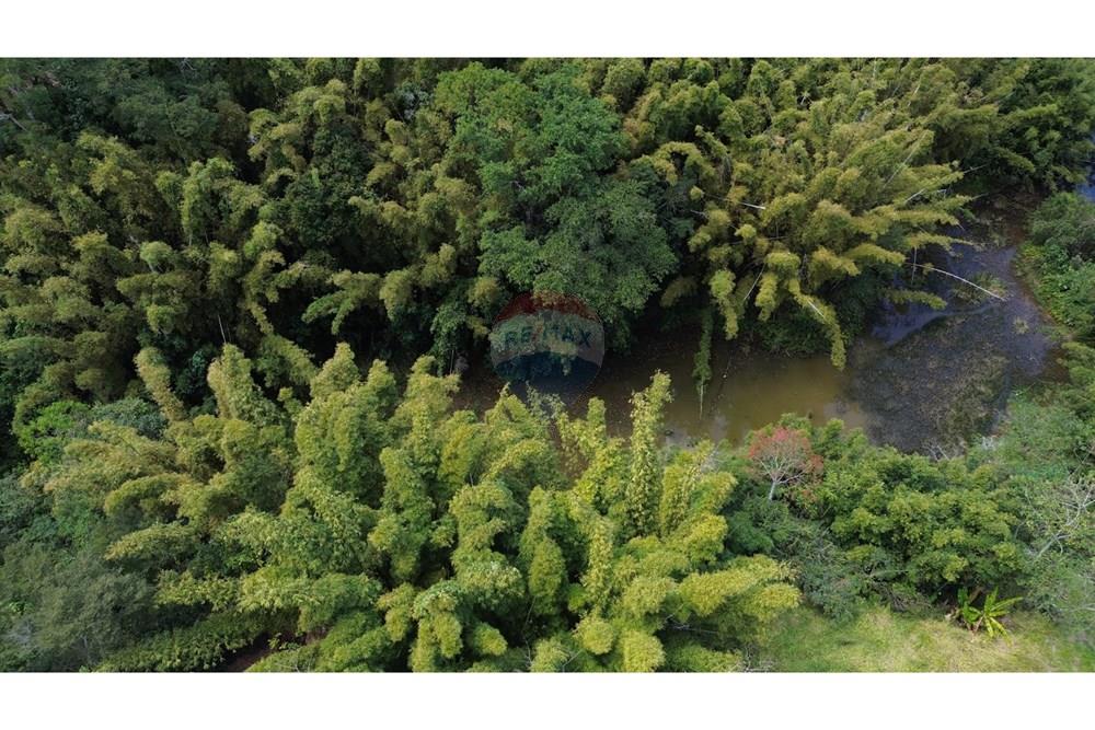 Chácara / Sítio / Fazenda - Venda - Santana do Deserto , Minas Gerais - IMG-20250926-WA0517.jpg - 860291041-20