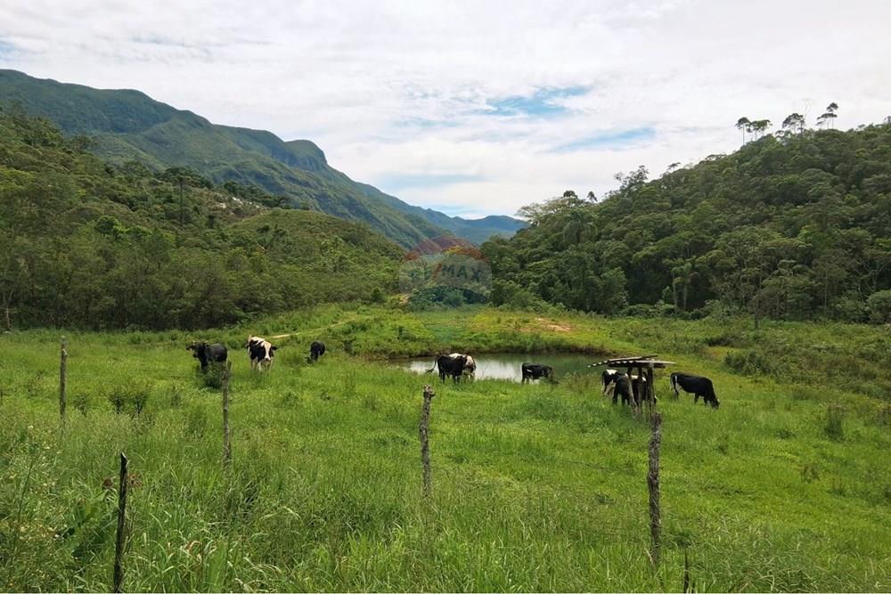 Chácara / Sítio / Fazenda - Venda - Rio Preto , Minas Gerais - WhatsApp Image 2026-01-10 at 15.05.52.jpeg - 860281098-65