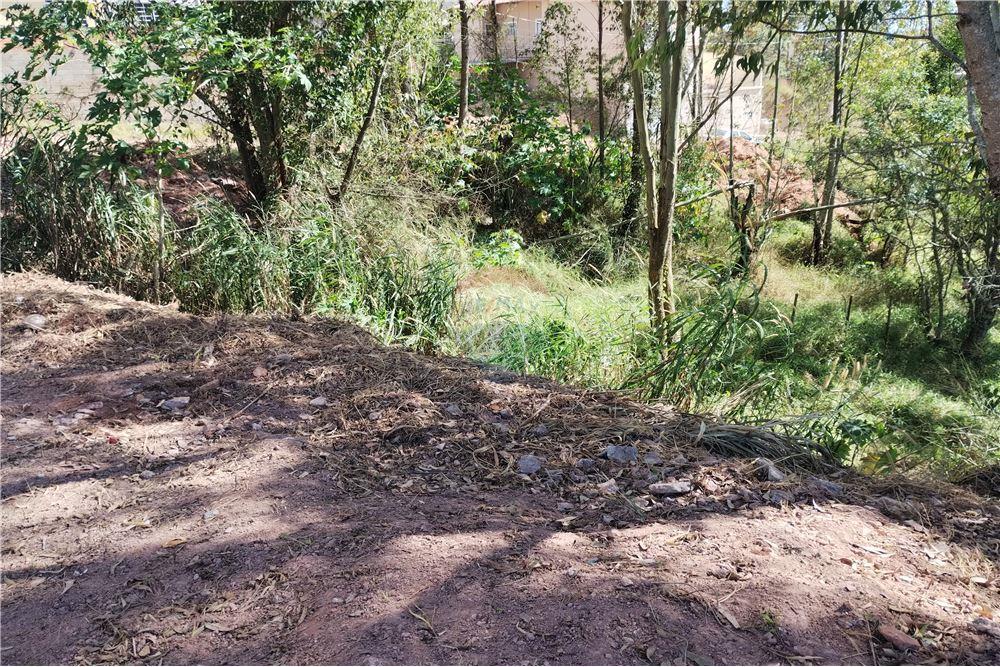 Terreno - Venda - Barbacena , Minas Gerais - 9 - 860391002-86