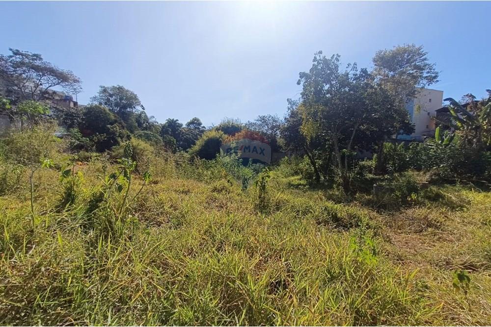 Terreno - Venda - Conselheiro Lafaiete , Minas Gerais - 2d0523d3-92c7-4727-b353-ee0e2984112f.jpeg - 860421022-139