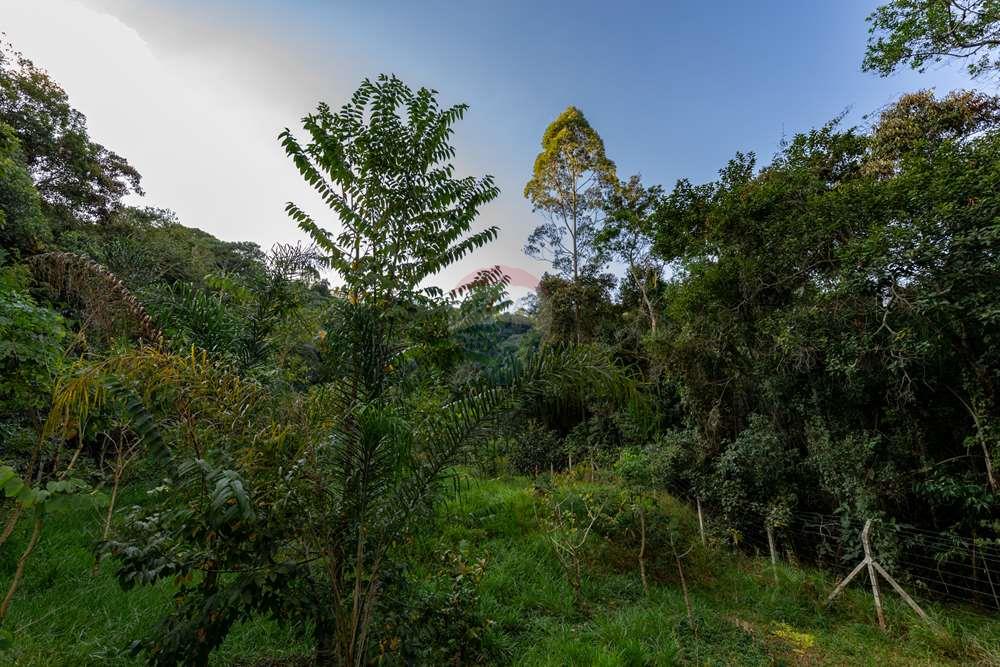 Apartamento - Venda - Juiz de Fora , Minas Gerais - FOTOIMOB-12.jpg - 860241112-129