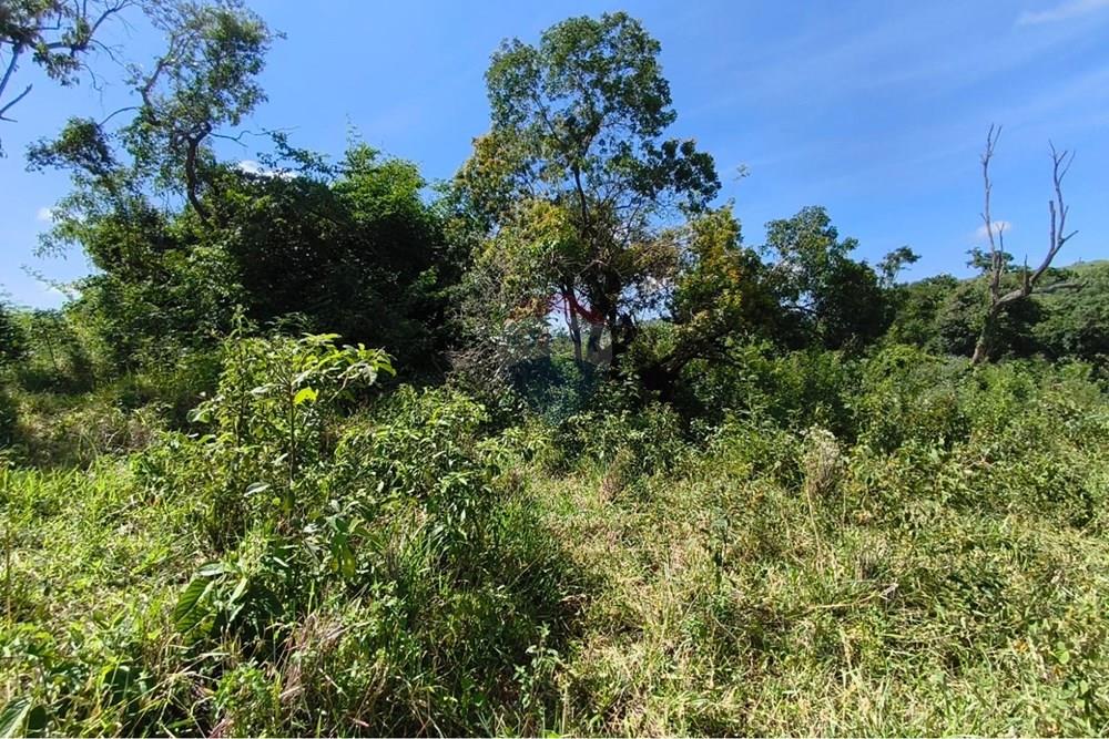 Chácara / Sítio / Fazenda - Venda - Lavras , Minas Gerais - WhatsApp Image 2026-04-08 at 17.33.38 (1).jpeg - 860471037-28