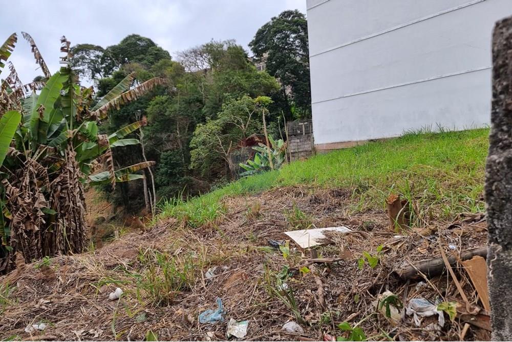 Terreno - Venda - Juiz de Fora , Minas Gerais - IMG-20250729-WA0131.jpg - Quintal - 860211131-10