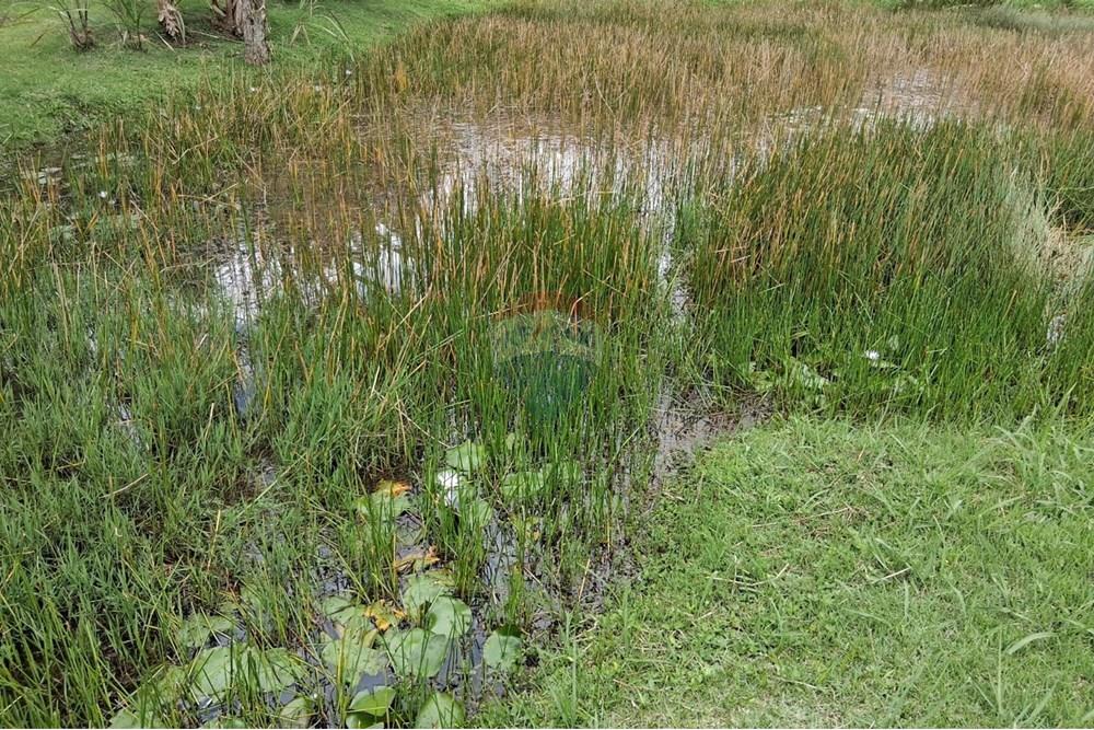 Chácara / Sítio / Fazenda - Venda - Juiz de Fora , Minas Gerais - WhatsApp Image 2025-11-18 at 21.06.05.jpeg - 860281098-63