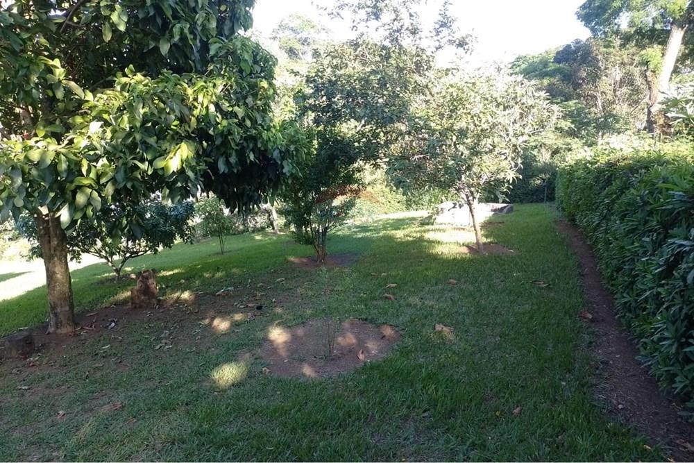 Terreno - Venda - Simão Pereira , Minas Gerais - WhatsApp Image 2025-02-05 at 16.45.10.jpeg - 860281098-70