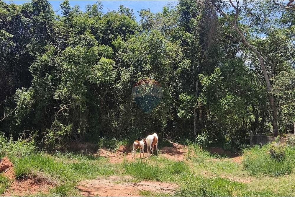 Terreno - Venda - Juiz de Fora , Minas Gerais - WhatsApp Image 2025-11-14 at 13.34.57.jpeg - 860321052-3