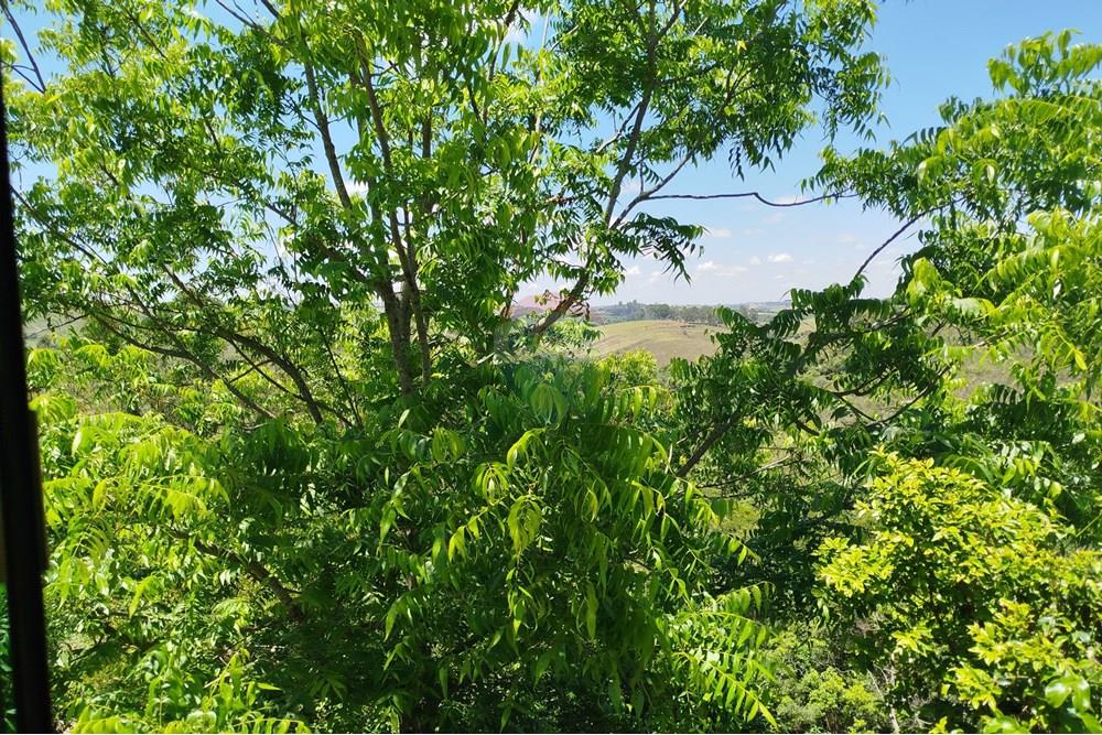 Chácara / Sítio / Fazenda - Venda - Barbacena , Minas Gerais - IMG_20251112_104933.jpg - 860391028-24