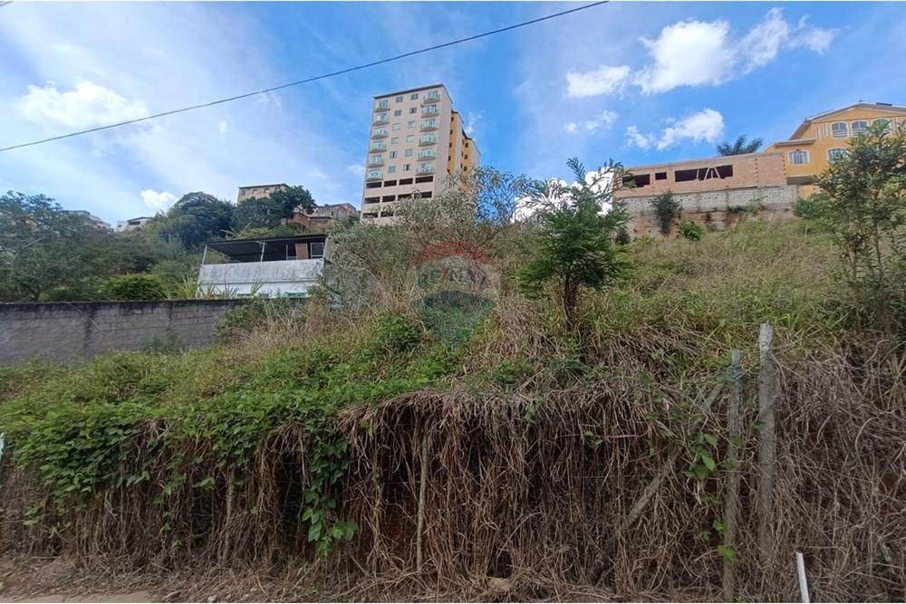 Terreno - Venda - Conselheiro Lafaiete , Minas Gerais - 854908a2-6f61-4238-b202-ec5ebecce359.jpeg - 860421022-164