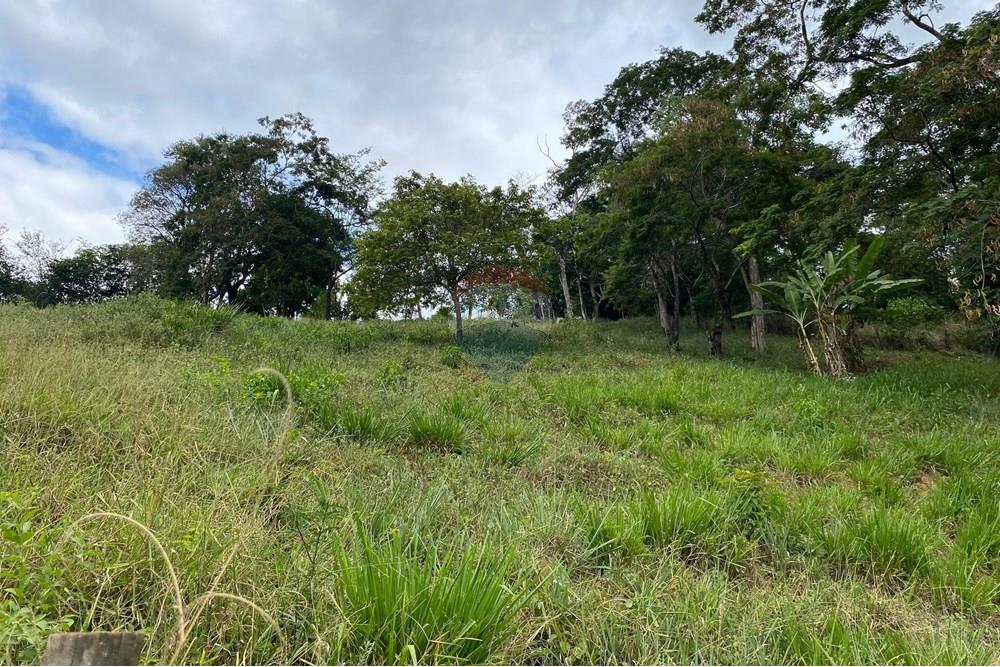 Chácara / Sítio / Fazenda - Venda - Muriaé , Minas Gerais - IMG-20250322-WA0004.jpg - 860371002-116