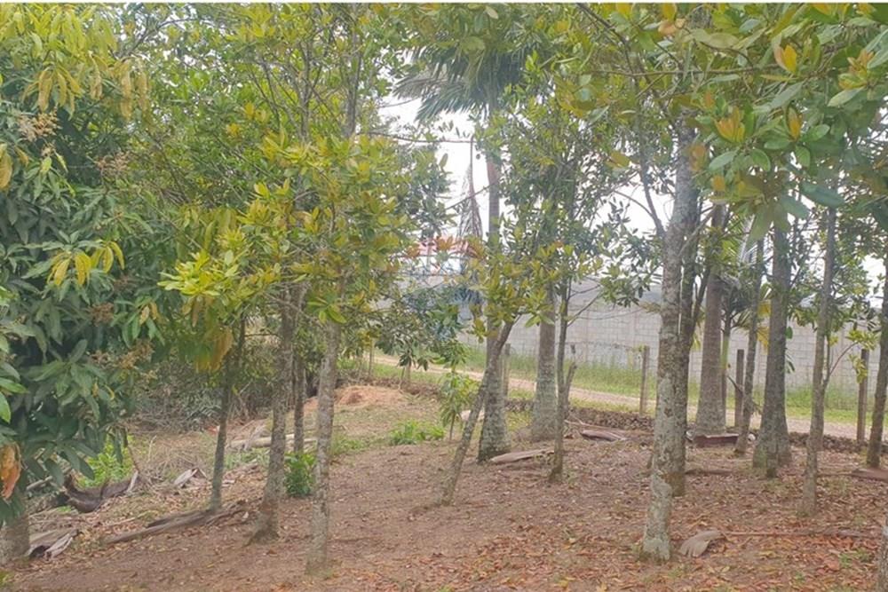 Chácara / Sítio / Fazenda - Venda - Barbacena , Minas Gerais - WhatsApp Image 2025-11-17 at 14.43.29 (6).jpeg - 860391028-24