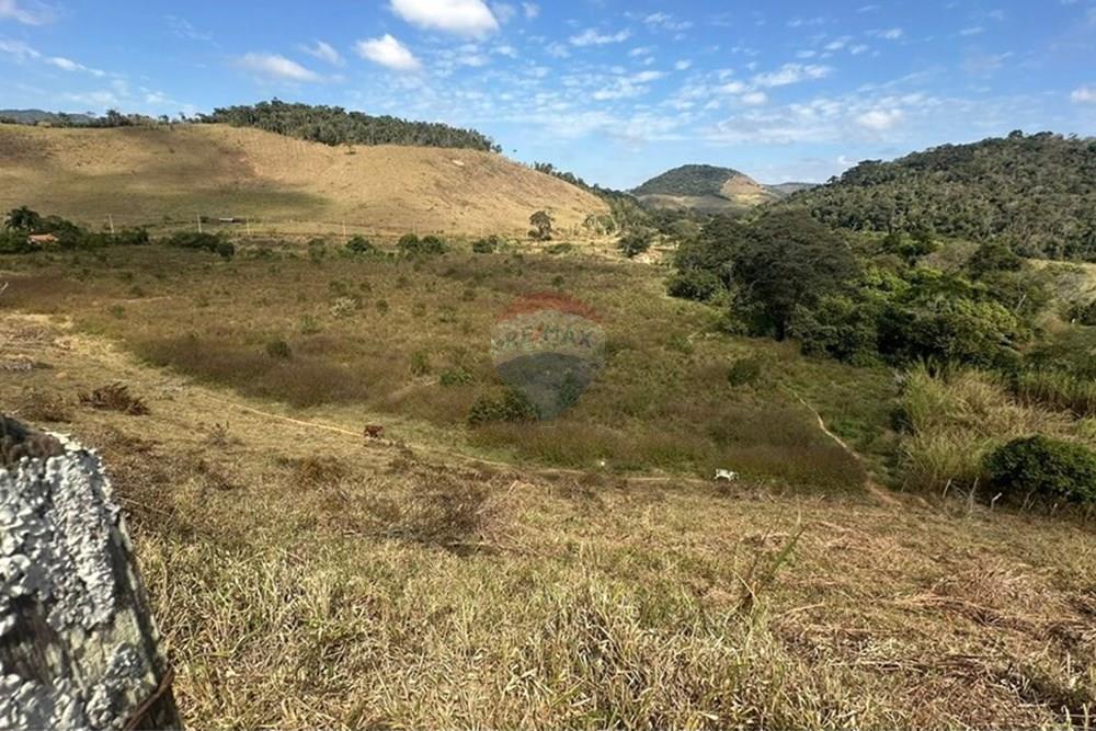 Terreno - Venda - Lima Duarte , Minas Gerais - c98bbdf9-31b1-46a2-b4f9-395dc4865149.JPG - 860291033-135