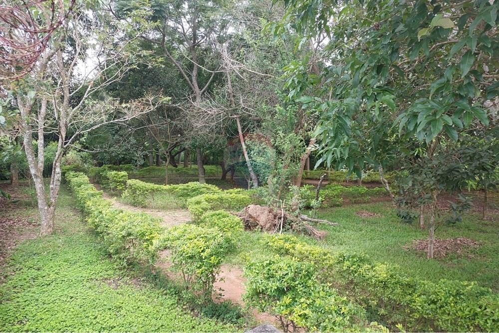 Apartamento - Alugar - Juiz de Fora , Minas Gerais - 1000827609.jpg - 860301050-41