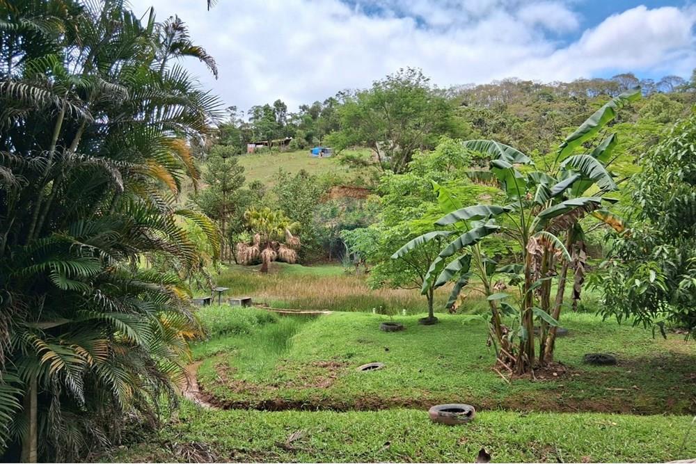 Chácara / Sítio / Fazenda - Venda - Juiz de Fora , Minas Gerais - WhatsApp Image 2025-11-18 at 21.05.11 (1).jpeg - 860281098-63