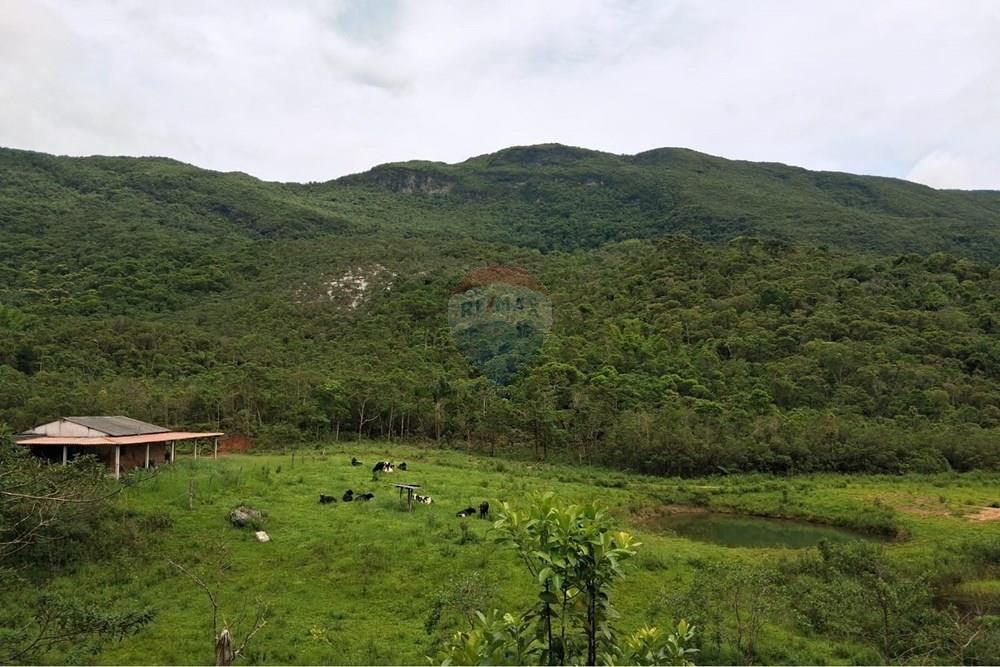 Chácara / Sítio / Fazenda - Venda - Rio Preto , Minas Gerais - WhatsApp Image 2026-01-10 at 15.06.47 (1).jpeg - 860281098-65