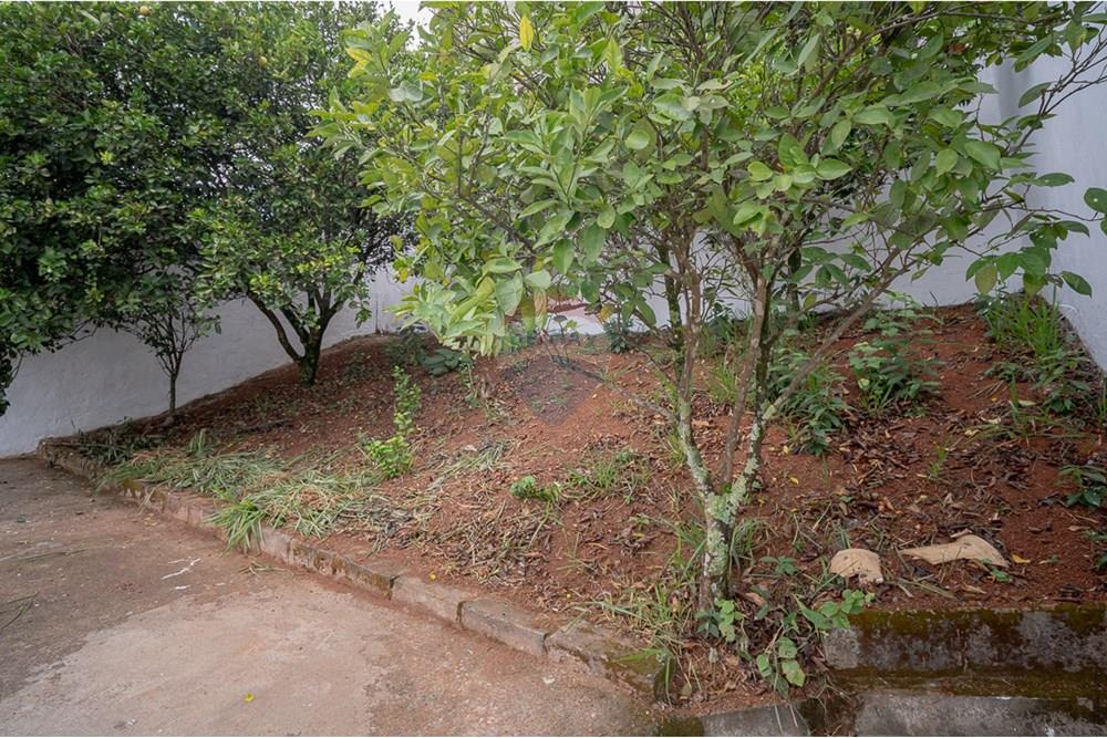 Cobertura - Venda - Juiz de Fora , Minas Gerais - michaelseed photo_-83.jpg - Quintal - 860211077-207