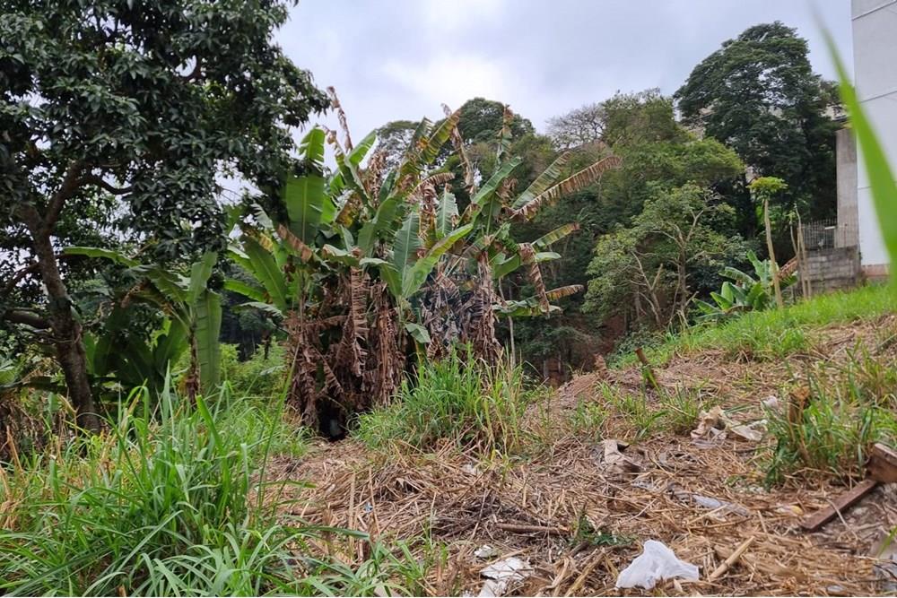 Terreno - Venda - Juiz de Fora , Minas Gerais - IMG-20250729-WA0143.jpg - 860211131-10