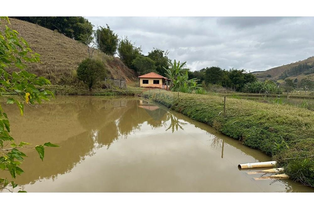 Chácara / Sítio / Fazenda - Venda - Juiz de Fora , Minas Gerais - WhatsApp Image 2025-02-12 at 18.14.59.jpeg - 860291033-75