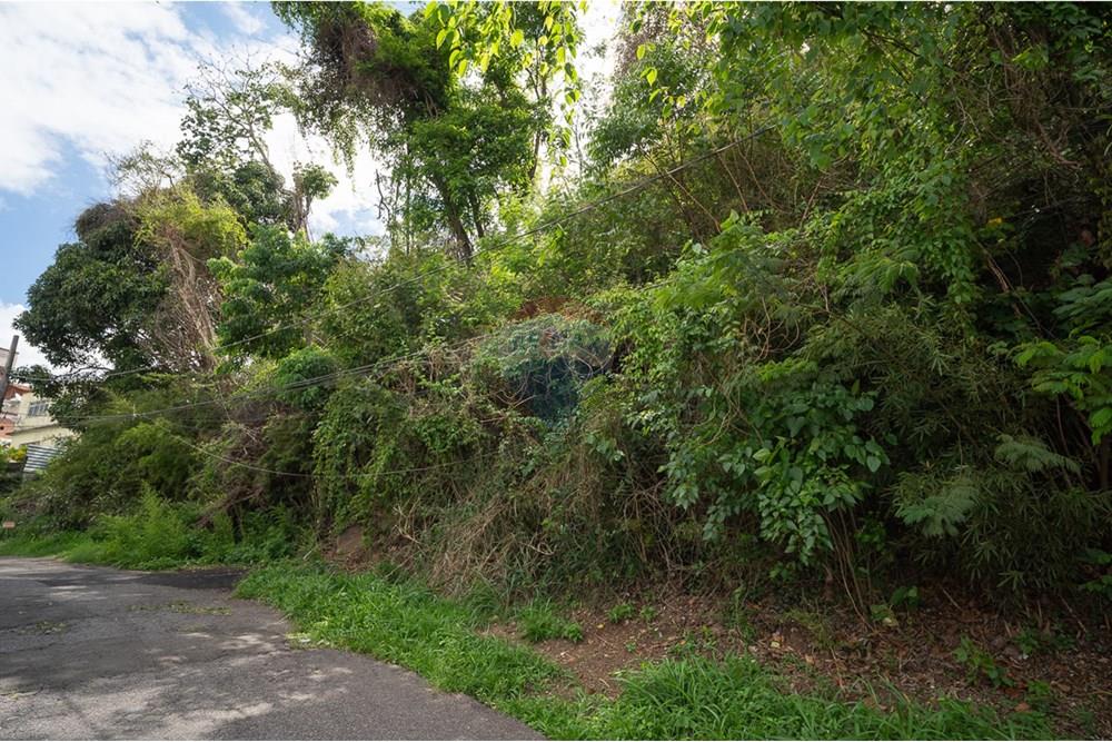 Terreno - Venda - Juiz de Fora , Minas Gerais - michaelseed.photo_1103-76-X2.jpg - 860211097-64